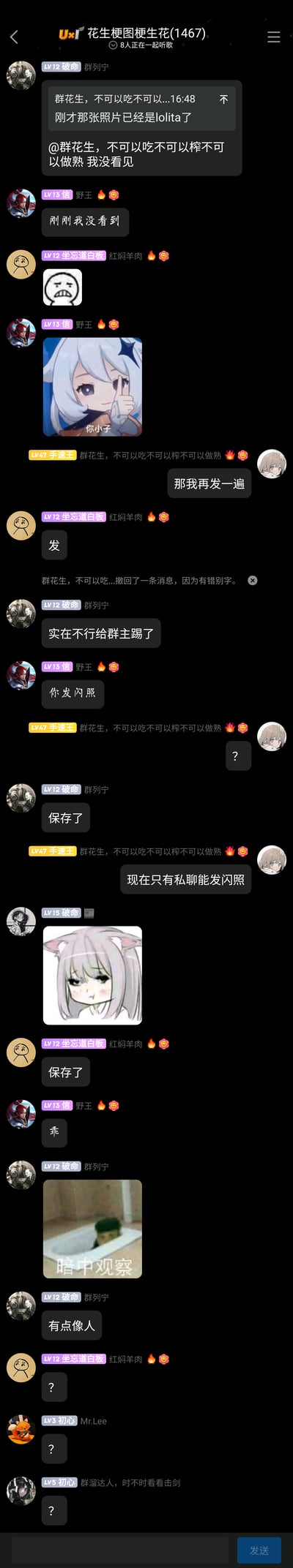 这是一张QQ群聊的竖屏截图，群名为‘花生梗图梗生花(1467)’，群内成员围绕之前的lolita风格照片展开趣味互动：成员‘群列宁’表示没看到照片，‘野王’‘坐忘道白板’附和，之后‘群花生，不可以吃不可以榨不可以做熟’提出要再发一遍照片，群友提议发闪照，该成员说明仅私聊可发闪照，期间群内成员多次发送二次元表情包和网络梗图，最后‘群列宁’发送‘暗中观察’梗图并配文‘有点像人’，引发其他成员发问号表示疑惑，整体氛围轻松诙谐，是网友间的日常闲聊场景。