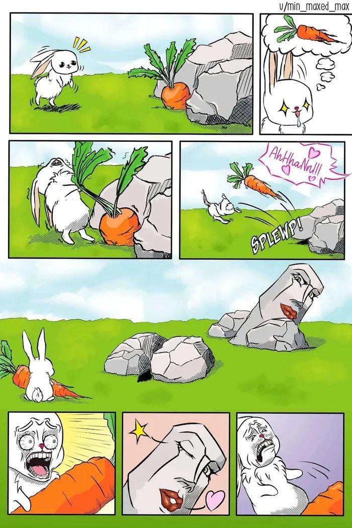 兔子