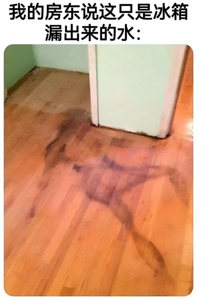 图片展示了一处严重的木地板水浸损坏情况，靠近门框处的木地板已经出现大面积深色水渍和变形。上方文字配文'我的房东说这只是冰箱漏出来的水:'，通过夸张的对比制造幽默效果，暗示房东对严重房屋问题轻描淡写的态度。