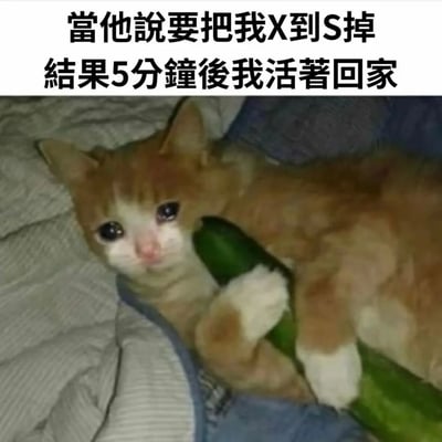 图片上方有两行黑色文字：“當他說要把我X到S掉 結果5分鐘後我活著回家”。下方是一只橘白相间的小猫，它正躺在灰色的毯子上，眼睛大大的，看起来很无辜，爪子抱着一个绿色的物体。这张图通过文字和猫咪表情的反差制造幽默效果，文字中的“X到S掉”带有夸张的性暗示，而“5分钟后活着回家”则形成了搞笑的反差。