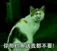网络原创合成表情包