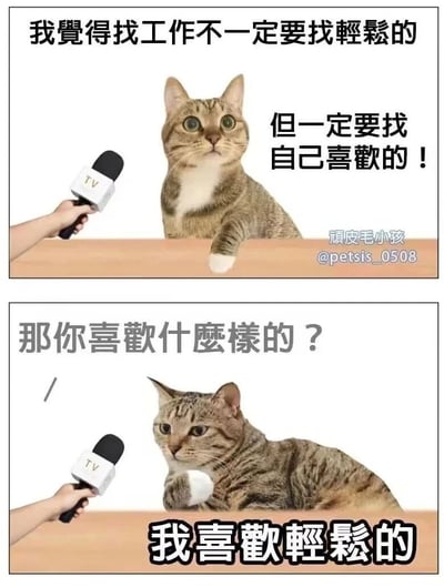 这是一张由上下两格组成的连环搞笑图，模拟媒体采访场景。上格中，一只狸花猫坐直身体，对着带有“TV”标识的采访话筒，一本正经地表达观点：“我觉得找工作不一定要找轻松的，但一定要找自己喜欢的！”，神态认真，仿佛在阐述严肃的择业理念；下格中，当采访者追问“那你喜欢什么样的？”时，这只猫咪立刻趴伏在桌面上，神态略显心虚，直白地回答“我喜欢轻松的”，形成了强烈的言行反差。图片用拟人化的猫咪形象，幽默地调侃了当代人在找工作时嘴上追求“兴趣导向”，实际更倾向于“轻松舒适”的真实心态，精准戳中职场人的共鸣点，充满搞笑趣味。
