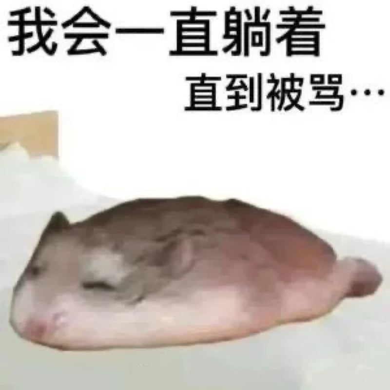 仓鼠