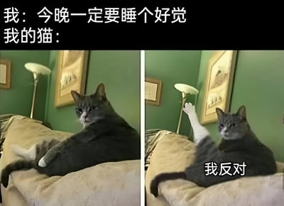 这是一张左右对比的宠物搞笑梗图，左侧图中一只灰猫平静地躺在沙发上，上方文字写着"我：今晚一定要睡个好觉"；右侧图中同一只猫抬起一只爪子，旁边配文"我反对"。通过猫咪拟人化的反应，幽默地表现了宠物经常打扰主人睡眠的生活场景，引发养宠人士共鸣。