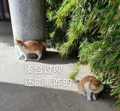 暂无描述