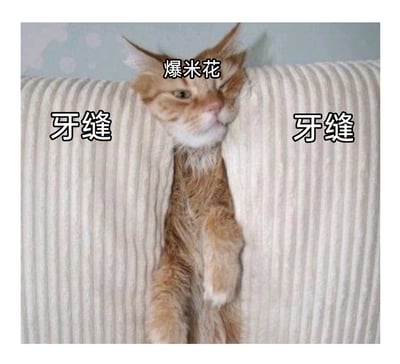 这是一张搞笑的宠物梗图，将一只卡在沙发缝隙里的橘猫比作塞在牙缝中的爆米花，沙发的左右缝隙被标注为“牙缝”，猫咪的头部上方标注为“爆米花”。橘猫半眯着眼睛，身体卡在缝隙中，一只前爪搭在缝隙边缘，神态看起来无奈又带点慵懒，通过生活化的场景比喻，把食物塞牙缝的日常情景和猫咪卡缝隙的画面结合，制造出幽默滑稽的效果，让人联想到食物塞在牙缝里的状态，充满趣味性。