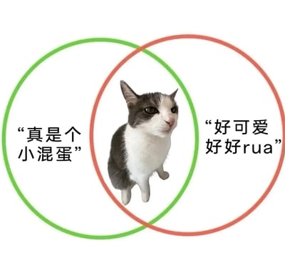 这张图采用维恩图的形式，精准呈现了养宠人面对调皮猫咪时的矛盾心态：绿色圆圈标注的“真是个小混蛋”，对应猫咪调皮捣蛋时主人的吐槽情绪；红色圆圈标注的“好可爱好好rua”，对应猫咪展现软萌一面时主人的喜爱情绪；表情拽拽的灰白猫咪位于两个圆圈的交集区域，意味着即便猫咪闯祸，主人依旧会被它的可爱打动，这种又气又爱的反差感，完美戳中了广大铲屎官的真实日常。