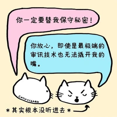 两只卡通猫咪的对话场景。左侧猫咪用粉色对话框认真地说“你一定要替我保守秘密！”，右侧猫咪则用蓝色对话框自信回应“你放心，即使是最极端的审讯技术也无法撬开我的嘴。”，然而图片底部的文字注释“*其实根本没听进去*”并配合指向右侧猫咪的箭头，形成了强烈的幽默反差效果，展现了猫咪可爱又不靠谱的形象。