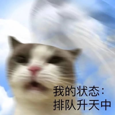 图片中是一只表情严肃的猫咪，背景是蓝天和白云，整体画面带有动态模糊效果，营造出猫咪正在快速向上移动的视觉感受。图片下方配有文字“我的状态：排队升天中”，通过猫咪向上飞升的画面与文字内容结合，形成一种幽默的对比，表达一种无奈或疲惫的情绪，用夸张的方式形容自己的状态。