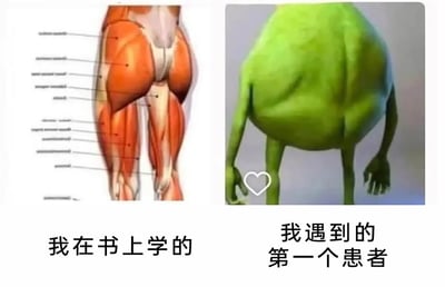 这是一张左右分栏的静态对比梗图，左侧是医学教材中的标准人体下肢肌肉解剖示意图，图中清晰标注了各部分肌肉的名称，是医学生在书本中学习到的标准人体结构；右侧是动画电影《怪物史莱克》中主角史莱克的下半身，他的肢体形态和标准人体解剖图差异极大。两张图下方分别配有文字“我在书上学的”和“我遇到的第一个患者”，通过强烈的视觉反差，调侃医学生在书本中学到的标准化知识，与临床实践中遇到的特殊情况之间的巨大差距，生动地表现出医学生初次面对不符合标准情况的患者时的无奈与反差感，充满搞笑效果。