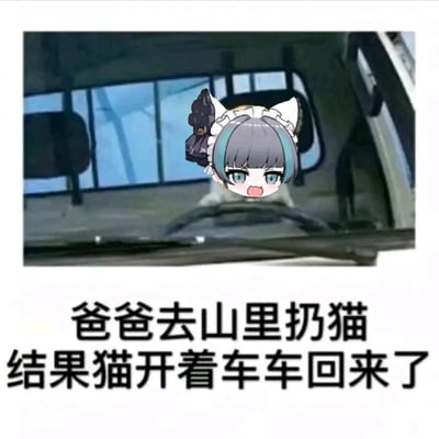 这是一张二次创作的搞笑表情包，创作者将米哈游游戏《绝区零》中的角色艾莲·乔的Q版头像，合成到汽车驾驶座的画面中，搭配下方文字“爸爸去山里扔猫 结果猫开着车车回来了”，用拟人化的反差情节制造幽默：原本被丢弃的“猫”（用带猫耳的艾莲·乔代指）不仅没有被丢掉，反而开着车回来，角色惊讶不满的张嘴表情也和这个离谱的情节呼应，放大了搞笑效果，适合在社交场景中用于调侃、活跃气氛。