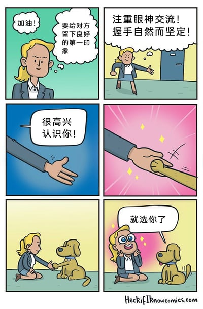 这是一则六格连环幽默漫画，开篇是一位职场女性在给自己打气，内心不断提醒自己要给对方留下良好第一印象，要做到注重眼神交流、握手自然坚定。随后她伸出手，笑着说“很高兴认识你！”，但和她握手的却是一只宠物狗的爪子，镜头拉远后可以看到女性跪坐在地上和狗狗握手，最后她双眼发亮、满脸兴奋地对狗狗说道“就选你了”。原本以为是严肃的职场会面场景，结果却是挑选宠物的温馨搞笑场景，通过这种场景的反差制造出强烈的幽默效果。
