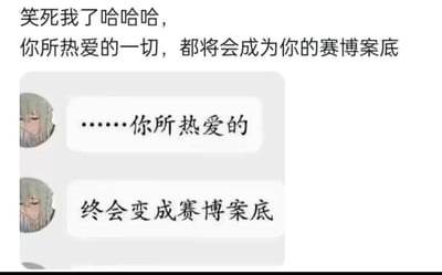 这张图片采用了聊天界面的形式，上方配有文字“笑死我了哈哈哈，你所热爱的一切，都将会成为你的赛博案底”。下方是一个聊天窗口，显示了一个灰色头发角色的两条消息：“……你所热爱的”和“终会变成赛博案底”。图片通过幽默的方式调侃了在数字时代，人们的兴趣爱好和网络行为可能会被记录下来的现象，使用“赛博案底”这一夸张说法制造笑点。