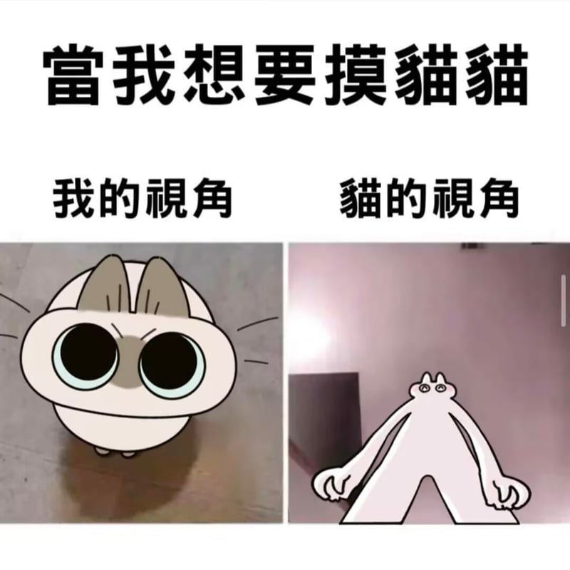 人类