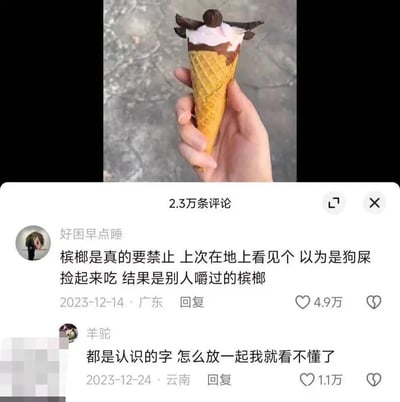 这是一张抖音平台的评论区截图，上方展示了一个造型奇特的冰淇淋，下方是两条高赞搞笑评论。用户「好困早点睡」分享了自己的离谱经历：将地上的槟榔误认成狗屎捡起来吃，结果发现是别人嚼过的槟榔，同时呼吁禁止槟榔；用户「羊驼」则调侃「都是认识的字怎么放一起我就看不懂了」，表达对这条离谱经历的困惑。两条评论分别获得4.9万和1.1万点赞，内容荒诞搞笑，通过离谱的个人经历引发网友对槟榔外观的调侃与共鸣。