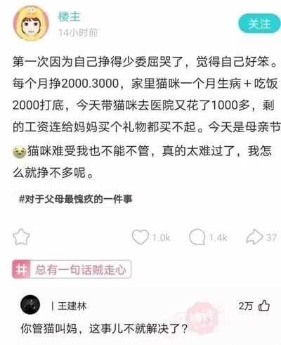 这是一张社交媒体帖子截图，内容是一位楼主在14小时前发布的生活吐槽。楼主称自己每月收入仅2000-3000元，家中猫咪每月的医疗和饮食开销就要2000元打底，当天带猫咪就医又花费了1000多元，导致剩余工资不足以在母亲节给母亲购买礼物，因此因自己收入低而委屈哭泣，既心疼猫咪的状况无法不管，又愧疚没能在母亲节给母亲尽孝，还附带了话题#对于父母最愧疚的一件事。在该内容下方，网名为“|王健林”的用户给出了一条玩梗式的评论：“你管猫叫妈，这事儿不就解决了？”，这条评论获得了2万点赞，用调侃的方式将楼主照顾猫咪的开销和母亲节尽孝的需求结合起来，形成了反差感的玩梗效果，此外帖子底部还有话题#总有一句话贼走心。
