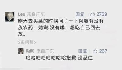 这是一张社交媒体评论区的静态截图，展示了两条来自广东用户的评论。第一条评论用户名为Lee，头像是爱因斯坦的图片，他分享了自己买菜时的经历：询问卖菜阿婆菜里有没有放农药，阿婆给出了“没有哦，想吃自己回去放”的回复，这个回复利用字面意思的反差制造出搞笑效果，让对话充满趣味，这条评论获得了2769个点赞。第二条评论用户名为呦呵，回复了一串笑声加上“抱歉 没忍住”，表达自己被这段对话逗笑的心情，该评论获得267个点赞。整个截图呈现了网友分享日常趣事、其他网友互动的场景，充满生活气息和幽默感。