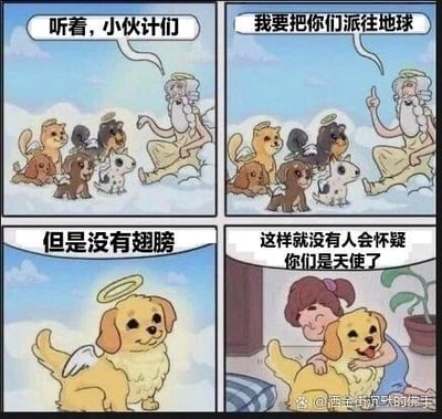这是一组四格连环卡通图，以温馨幽默的风格讲述狗狗是人间天使的故事：第一格中，白发白须的上帝坐在云端，对着几只狗狗说道“听着，小伙计们”；第二格上帝接着宣布“我要把你们派往地球”；第三格其中一只狗狗露出疑惑的神态，发问“但是没有翅膀”；第四格画面切换到地球场景，这只狗狗长着一对迷你小翅膀，头顶还有天使光环，正被一个面带笑容的小女孩开心地抱在怀里，配文点明核心“这样就没有人会怀疑你们是天使了”。漫画将狗狗拟人化，把它们比作降临人间陪伴人类的天使，用治愈的情节传递出狗狗给人类带来温暖与陪伴的情感，既搞笑又暖心。