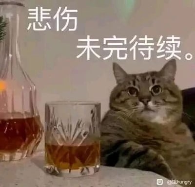 这是一张静态单图表情包，画面中一只灰纹猫咪趴在摆放着玻璃酒壶和酒杯的桌子上，它一只爪子搭在桌边，眼睛圆睁，眼神里满是茫然与惆怅，仿佛正沉浸在低落的情绪中借酒消愁。图片上方添加了白色文字“悲伤 未完待续。”，进一步强化了那种挥之不去的失落感，右下角带有微博用户“@唉hungry”的水印。这张图将猫咪的神态与悲伤的文字结合，生动地传递出持续的低落情绪，适合在社交媒体中用来抒发自己的惆怅、郁闷心情。