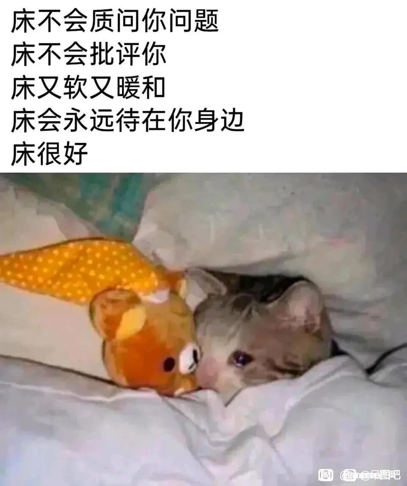 轻松小熊系列
