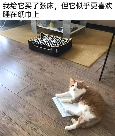 图片展示了一只橘白相间的猫舒适地躺在木地板上的一张纸巾上，而旁边精心准备的黑白锯齿纹猫床却空着。图片上方配有文字：'我给它买了张床，但它似乎更喜欢睡在纸巾上'，幽默地表现了猫咪不按常理出牌的可爱习性。