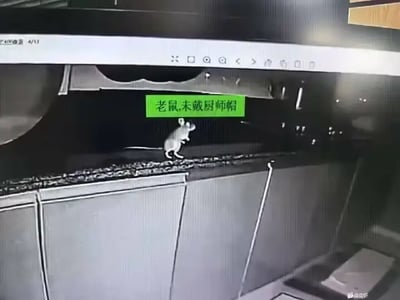 这是一张监控摄像头下的画面，主角是一只老鼠出现在厨房操作台上，画面中央有绿色标注“老鼠，未戴厨师帽”。标注风格仿AI摄像头智能识别，非常有网络恶搞感。把老鼠当作‘厨师’并用“未戴厨师帽”调侃，突出反差萌和讽刺餐饮卫生。

谐音/双关梗：
- “未戴厨师帽”本用于餐饮从业者，对老鼠使用则是幽默用法。
- 拟人化、调侃卫生环境，将卫生不达标影射得幽默夸张。