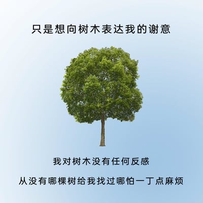 这是一张图文混排的静态单图，背景为浅蓝色，画面中央是一棵悬浮的、枝叶繁茂的树木。图片上方配有文字“只是想向树木表达我的谢意”，树木下方依次配有文字“我对树木没有任何反感”和“从没有哪棵树给我找过哪怕一丁点麻烦”，以独白的形式表达了作者对树木的认可与感谢，因为树木始终默默存在，不会给人制造任何麻烦，传递出一种对无负担事物的偏爱。