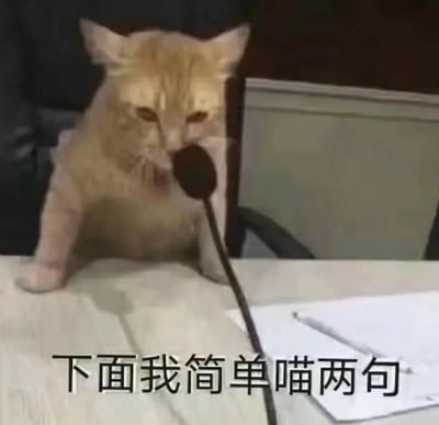 一只橘猫坐在桌前，面前放置着一个麦克风，背景可见一台笔记本电脑，整体场景模拟人类发言的情境。图片底部配有文字“下面我简单喵两句”，巧妙利用“喵”（猫叫声）与“讲”（说话）的谐音关系制造笑点，将猫拟人化，呈现出动物模仿人类发言的诙谐画面。