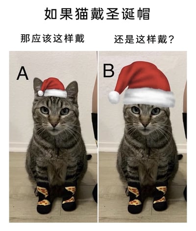 一张左右对比图，展示同一只虎斑猫戴两种不同圣诞帽的趣味效果。左侧（A选项）的圣诞帽尺寸较小，刚好贴合猫咪头顶；右侧（B选项）的圣诞帽尺寸较大，几乎覆盖猫咪整个头部。图片上方配有文字“如果猫戴圣诞帽”，下方分左右标注“那应该这样戴”和“还是这样戴？”，猫咪的爪子还穿着印有披萨图案的黑色袜子，整体画面可爱又幽默，通过两种夸张的佩戴方式引发关于宠物圣诞装扮的轻松讨论。