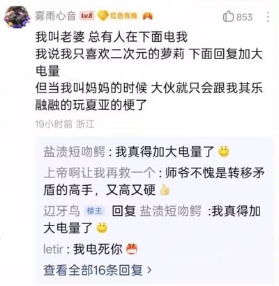 这是一张中文网络社区的评论区截图，顶部是等级为Lv.8的用户“雾雨心音”发布的发言，分享自己在社区的互动趣事：当他发言称呼“老婆”时，总会有其他网友在评论区调侃“电我”；他表示自己只喜欢二次元萝莉后，网友更是回复要“加大电量”；但当他称呼“妈妈”时，大家就只会其乐融融地玩起夏亚相关的梗。下方展示了4条网友的回复，内容分别是附和要加大电量、调侃楼主是转移矛盾的高手、楼主回复附和加大电量、网友调侃要“电死你”，整体属于二次元爱好者圈层的趣味玩梗互动内容，“电”是圈层内相关的谐音调侃梗。