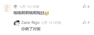 这是一张社交媒体评论区的截图，展示了两位定位为北京的用户的趣味互动。用户“枣”发布了带有🥁表情的内容“哦哦啊啊哦哦陶喆”，是在模仿陶喆的演唱语气，该评论获得8个点赞；用户“Zane Ngo”回复“你做了对坂”，这里运用了谐音梗，实际应为“对版”，意指模仿得和陶喆的原版风格十分契合，该回复获得4个点赞，两条评论的发布时间均为19小时前。