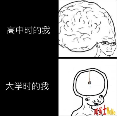 这张梗图通过“大脑大小”形象对比表达了“高中时的我”与“大学时的我”的状态变化。高中时期用巨大的大脑展示学习压力和聪明，而大学时期则用大脑空空只剩一点幽默元素，搞笑自黑，常用于自嘲大学生活变“傻”了。整体气氛轻松幽默，属于网络常见自黑流行梗。

有讽刺和自嘲的暗示，表达学业压力变化后的“放飞自我”感受。