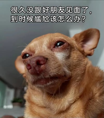 这是一张贴合年轻人社交烦恼的宠物表情包，主体是一只浅棕色的吉娃娃，它双眼含泪，眉头微皱，面部呈现出发愁、焦虑的神情，抬头向上看，仿佛在为某件事忧心忡忡。图片上方配有文字“很久没跟好朋友见面了，到时候尴尬该怎么办？”，将小狗的愁容与人们面对许久未见的好友时，担心见面冷场、尴尬的社交焦虑情绪相结合，精准戳中日常社交中的小烦恼，容易引发有类似经历的网友共鸣。