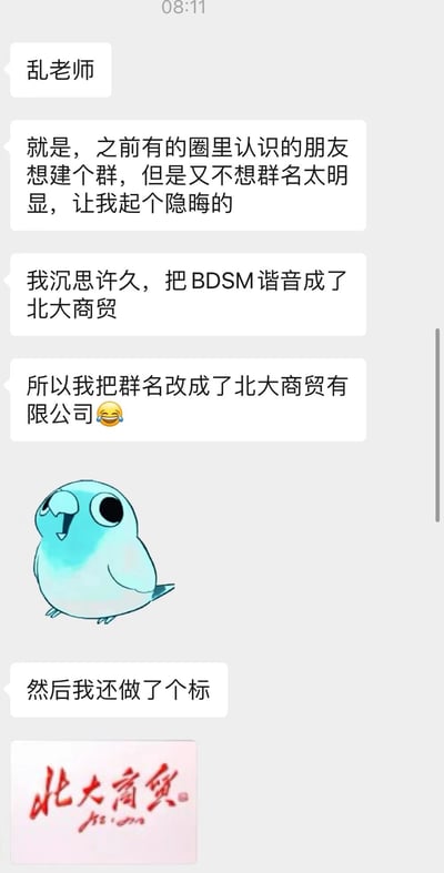 这是一张社交媒体聊天记录截图，展示了用户"乱老师"分享的一个创意群名故事。对话内容讲述了如何将"BDSM"通过谐音巧妙转化为"北大商贸"，并以此创建了名为"北大商贸有限公司"的隐晦群名。截图中间有一个蓝色小鸟的卡通插图，表情惊讶，似乎在对这个创意表示惊叹。图片底部还展示了一个红色的"北大商贸"标志设计。整个内容以幽默的方式展示了如何用谐音梗创建隐蔽的群名。