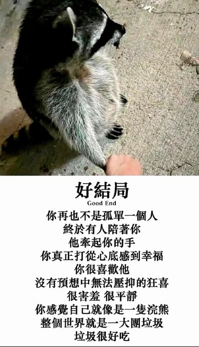 这是一张竖屏格式的顶配底文搞笑梗图，上半部分为实拍画面：一只浣熊侧坐在有裂纹的水泥地面上，用爪子和人类的手指牵在一起，姿态显得平静；下半部分是排版整齐的文字内容，标题为“好结局”，前半段用温馨治愈的语句描述拥有陪伴、被牵手的幸福心情，营造出温暖的氛围，后半段突然以浣熊的视角转折，说出“你感觉自己就像是一只浣熊，整个世界就是一大团垃圾，垃圾很好吃”，利用浣熊喜欢翻找垃圾进食的习性，制造出强烈的反差感，打破了前面的温馨氛围，带来荒诞搞笑的效果，属于典型的网络反鸡汤反差梗。