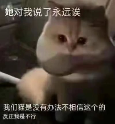 图片中是一只表情略带悲伤的猫，上方配有文字'她对我说了永远诶'，下方文字为'我们猫是没有办法不相信这个的 反正我是不行'。通过拟人化手法，将猫咪塑造成对'永远'这类承诺深信不疑的形象，展现出一种天真又略带伤感的可爱氛围。