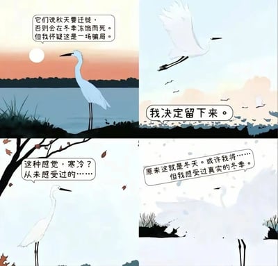 这是一幅由四个分镜组成的卡通四格漫画，以一只白鹭为主角展开叙事：第一格中，秋日黄昏的岸边，白鹭看着即将迁徙的同伴，内心怀疑“秋天不迁徙就会在冬季冻饿而死”的说法是骗局；第二格中，同伴们纷纷飞走，白鹭做出了留下来的决定；第三格中，冬季来临，寒风卷着落叶，白鹭第一次感受到了从未体验过的寒冷；第四格中，风雪弥漫，白鹭即将走到生命的尽头，但它坦然接受，因为它已经亲身体验过真实的冬季。漫画通过白鹭的选择与经历，传递出不盲从他人、亲身感受真实人生的哲理。
