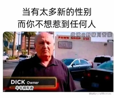 这是一张经过P图改编的视频截图类搞笑梗图，画面原始素材来自美国纪实节目《典当之星》。图片上方添加了中文配文“当有太多新的性别而你不想惹到任何人”，画面主体是一位名叫DICK的当铺老板，他表情严肃地直视镜头，站在标有“PAWN SHOP”字样的当铺门前。原本的英文字幕“DICK Owner”被改编为中文“牛牛拥有者”，这里运用了双关谐音梗：“DICK”在英文中既可以作为人名，也有俚语中男性生殖器的含义，中文“牛牛”是对男性生殖器的委婉戏称，通过这种方式，用直白的生理特征表述来调侃当下新性别概念增多的环境中，人们为了避免因性别定义问题得罪他人而采取的搞笑表态。