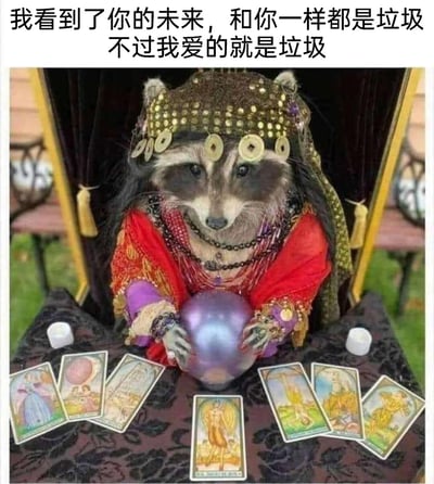 这是一张网络恶搞表情包，将浣熊拟人化装扮成传统占卜师的形象：它头戴缀有金币的头巾，身着红紫配色的华丽复古服饰，佩戴多串项链与手链，双手捧着一颗紫蓝色水晶球，面前的桌子上摆放着塔罗牌与小蜡烛，完美还原占卜师的工作场景。图片上方搭配自嘲风格的文字“我看到了你的未来，和你一样都是垃圾 不过我爱的就是垃圾”，用荒诞的占卜设定结合摆烂自嘲的语气，制造出好笑又解压的效果，适合用来自我调侃、表达摆烂情绪，或是和朋友玩梗互动。