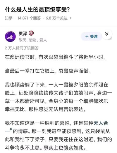 这是知乎问题「什么是人生的最顶级享受？」下的高赞回答截图，答主@灵泽分享了自己在澳大利亚读书时的一段奇妙经历：与袋鼠缠斗近半小时后将其击倒，随后和袋鼠一同躺在夕阳下，在余晖、孩童嬉闹声与周遭自然环境的包围中，感受到全身心极致的欢乐与幸福，还调侃自己从此和袋鼠结下梁子，斗争会持续下去。这段充满画面感的描述，把一场和袋鼠的打斗变成了体验人生极致享受的瞬间，风格幽默又充满治愈感。
