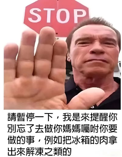 图片上半部分为阿诺德·施瓦辛格的真人图像，他表情严肃，伸出手掌做出停止手势，背景中有一个红色的STOP交通标志。图片下半部分配有中文文字：“请暂停一下，我是来提醒你别忘了去做你妈妈嘱咐你要做的事，例如把冰箱的肉拿出来解冻之类的”。整体通过严肃的手势与生活化的提醒形成幽默反差，用于轻松提醒他人完成日常琐事。