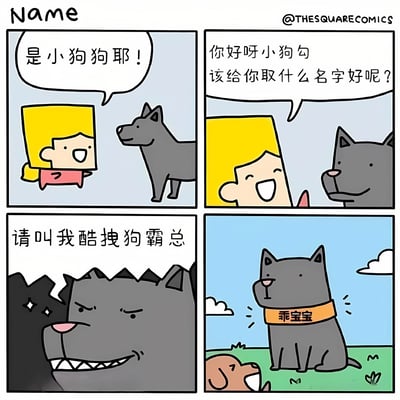 四格漫画展现了给小狗取名的有趣过程。第一格中，黄发人物惊喜地发现小狗并喊道“是小狗狗耶！”；第二格中，人物温柔地对小狗说“你好呀小狗勾 该给你取什么名字好呢？”；第三格画风突变，小狗表情变得凶狠，霸气地要求“请叫我酷搜狗霸总”；第四格则形成反差萌，小狗戴着写有“乖宝宝”的项圈，乖巧地坐在草地上。

漫画通过小狗自封霸气名字却被赋予可爱称呼的反差，制造出幽默效果。