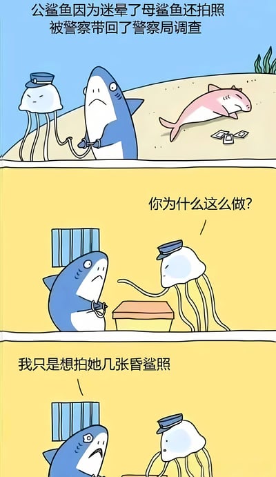 这是一幅三格连环卡通漫画，以海洋生物拟人化展开搞笑情节。第一格：蓝色公鲨鱼被戴着警帽的水母警察用触手铐住，表情慌张；旁边沙滩上躺着昏迷的粉色母鲨鱼，地上散落着几张照片，上方文字说明“公鲨鱼因为迷晕了母鲨鱼还拍照被警察带回了警察局调查”。第二格：审讯室场景，水母警察严肃质问公鲨鱼“你为什么这么做？”，公鲨鱼低头显得无奈。第三格：公鲨鱼抬头回答“我只是想拍她几张昏鲨照”，利用“昏鲨”与“荤段子”（指低俗笑话）的谐音制造笑点。
