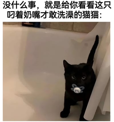 图片上方配有文字“没什么事，就是给你看看这只叼着奶嘴才敢洗澡的猫猫：”，下方是一只黑色猫咪站在白色浴缸里，嘴里叼着一个蓝白相间的奶嘴，眼神看起来有些无辜又带点紧张，整体画面可爱又搞笑，展现了猫咪洗澡时依赖奶嘴的萌态。