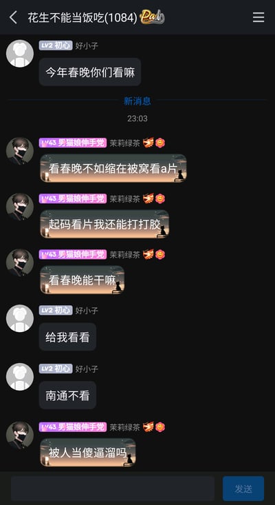 这是一张竖屏手机格式的群聊截图，群名为“花生不能当饭吃(1084)”。用户“好小子（LV2 初心）”发起话题询问群友“今年春晚你们看嘛”，随后用户“男猫娘伸手党（LV43 茉莉绿茶）”发表了一系列低俗且违反公序良俗的言论，将观看春晚与低俗色情内容对比，还使用粗俗表述贬低春晚；之后“好小子”回应“给我看看”“南通不看”，最后“男猫娘伸手党”再次发表嘲讽春晚的粗俗言论，整个对话包含大量不雅、低俗的内容，不符合公序良俗。