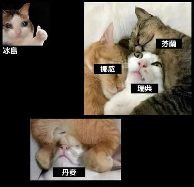 这是一张趣味恶搞梗图，创作者用不同状态的猫咪表情包类比北欧五国的地缘状态：左上角单独竖起大拇指的猫咪对应地理位置相对独立、偏居一旁的冰岛；右上角三只挤在一起的猫咪，闭眼熟睡的橘猫对应挪威、被挤在中间表情窘迫的白猫对应瑞典、挨在瑞典旁闭眼的狸花猫对应芬兰，对应北欧三国陆地接壤紧挨的地理特征；最下方被橘猫爪子压住面部的猫咪对应丹麦，对应丹麦和挪威隔海相望、地理位置偏南的特征，整体风格诙谐搞笑，用拟人化的猫咪状态趣味化呈现地理知识。
