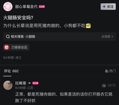 这是一张国内论坛社区刀塔综合区的内容截图，等级16的用户“甜心草莓圣代”发帖提问火腿肠是否安全，疑惑为什么长辈称火腿肠是死猪肉做的连小狗都不吃，等级18的用户“拉稀客”发布了获赞5878的高赞回复，用“如果是活猪肉做的打开肠衣肉就跑了不好抓”的荒诞逻辑玩梗回应，消解了原问题的顾虑，笑点十足。