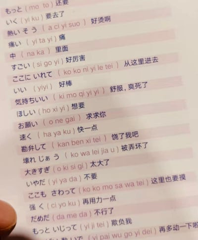 这是一张整理了多组日语短语的对照表，每个条目都标注了日语原文、中文谐音和中文释义，其中绝大多数短语的释义带有明显的成人向、低俗暗示性，这类表述常出现在成人影视内容中，并非正规的日常日语学习资料，属于网友自发整理的趣味低俗内容。
