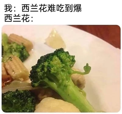 这是一张充满趣味的拟人化梗图，上方配有两段文字，分别是“我：西兰花难吃到爆”和“西兰花：”，下方的实拍图片中，一朵烹饪过的西兰花的茎部小分支恰好呈现出类似竖中指的形态，仿佛在对吐槽它难吃的人进行回怼。创作者利用食物的天然巧合造型，将其拟人化，制造出搞笑的反差效果，让普通的食物场景变得充满趣味性，很容易引发网友的共鸣和笑点。