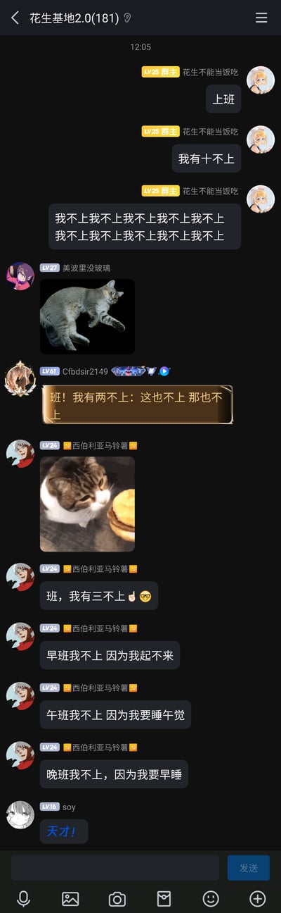 这是一张竖屏手机格式的即时通讯群聊截图，群名为“花生基地2.0(181)”，群成员围绕“不想上班”的主题展开趣味玩梗互动。群主“花生不能当饭吃”首先开启话题，接连发送“上班”“我有十不上”以及重复的“我不上”表达抗拒上班的情绪；随后成员“美波里没玻璃”发送一张躺平状态的猫咪图片呼应情绪，成员“Cfbdsir2149”接梗说“班！我有两不上：这也不上 那也不上”；成员“西伯利亚马铃薯”则进一步玩梗，先发送猫咪看食物的图片，随后提出“三不上”：早班因为起不来不上、午班因为要睡午觉不上、晚班因为要早睡不上，完美覆盖所有上班时段，最后被成员“soy”称赞“天才！”。整体氛围轻松搞笑，是当代年轻人对职场上班压力的趣味吐槽，用玩梗的方式释放不想上班的情绪。